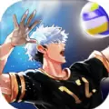 thespike排球高手