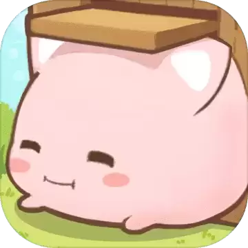 麻薯猫收藏