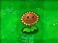 1715431.webp 1715431.webp