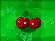 1715432.webp 1715432.webp