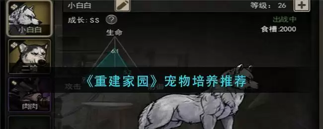 《重建家园》宠物培养推荐
