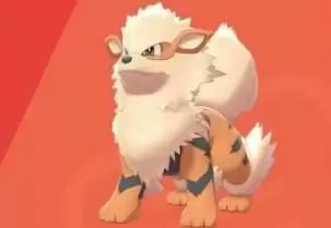 宝可梦大探险卡蒂狗必出食谱配方介绍