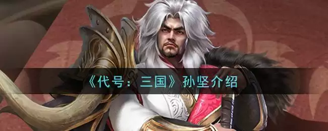 《代号：三国》孙坚介绍