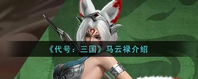 《代号:三国》马云禄介绍