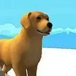 狗狗冲冲冲抖音