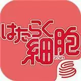 工作细胞ip