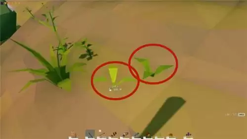 艾兰岛胡萝卜在哪里获得