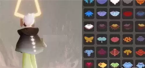 《光遇》小王子联动物品介绍