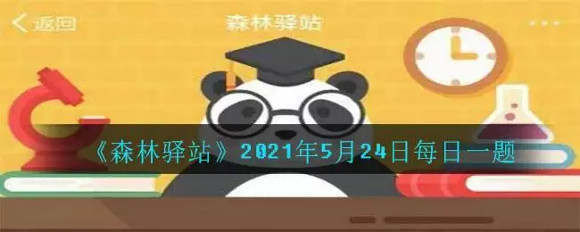 《森林驿站》2021年5月24日每日一题