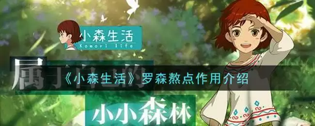 《小森生活》罗森熬点作用介绍