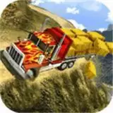 重型卡车老司机