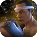 泰拳2格斗冲突中文