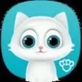 虚拟宠物猫模拟器