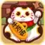 天天养猫