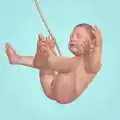 9 Months