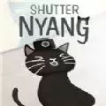 头顶相机的猫