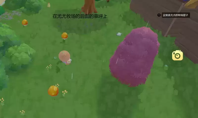 摩尔庄园手游蘑菇采集地点汇总介绍