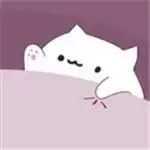 邦戈猫乐器大师