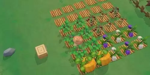 摩尔庄园手游太空变异农作物怎么种