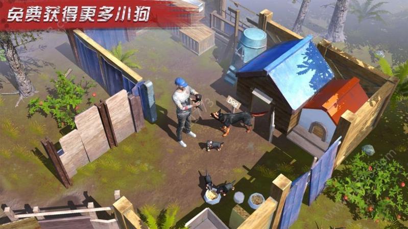 一人一狗末日生存游戏13号避难所