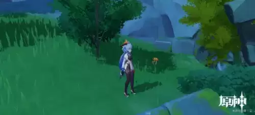 原神黄色采集物是什么？黄色的采集物拍摄路线攻略[多图]图片4