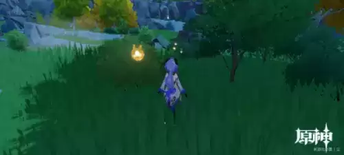 原神黄色采集物是什么？黄色的采集物拍摄路线攻略[多图]图片3