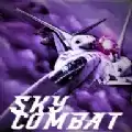 空战空中毁灭正式