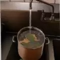 厨房模拟器游戏中文汉化