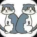 猫的错误1.1.2