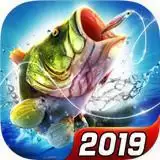 钓鱼大对决网易