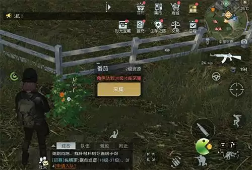 黎明觉醒番茄在什么位置采集