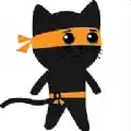 功夫忍者猫