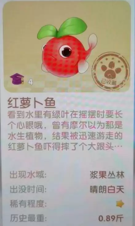 摩尔庄园夏日收集攻略 夏日收集全物品位置坐标大全图片2