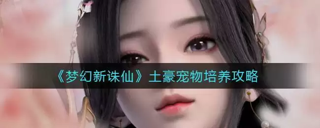 《梦幻新诛仙》土豪宠物培养攻略