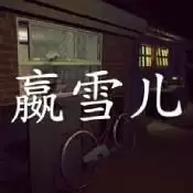 孙美琪疑案嬴雪儿最新版