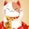 喵喵金币宝