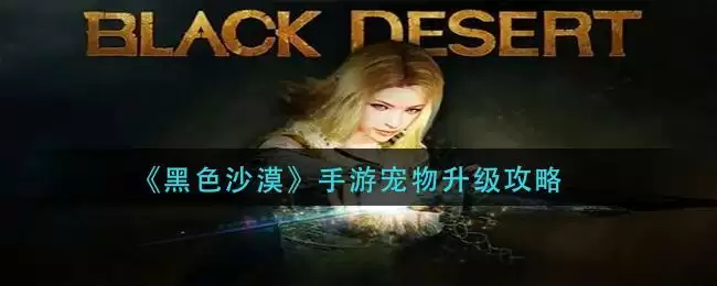 《黑色沙漠》手游宠物升级攻略