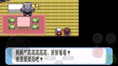 口袋妖怪催眠小镇