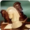 国际象棋