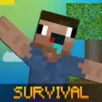 火柴人菜鸟求生