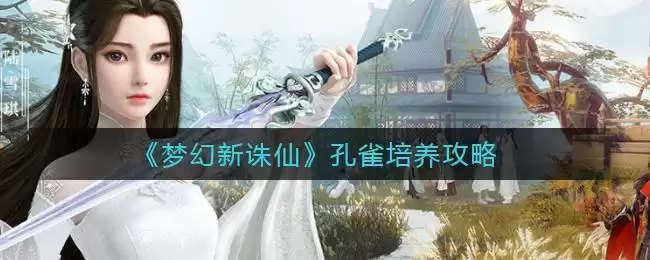 《梦幻新诛仙》孔雀培养攻略