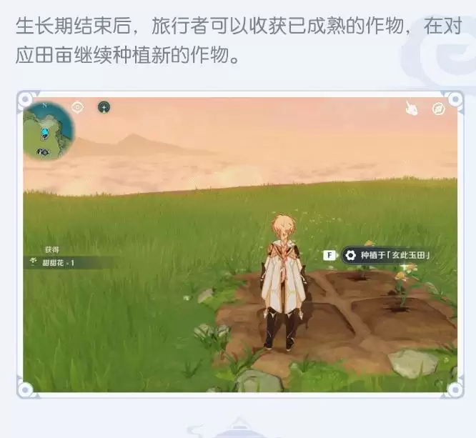 《原神手游》2.0家园种植玩法攻略