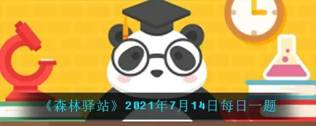《森林驿站》2021年7月14日每日一题