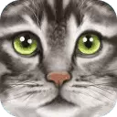 终极猫咪模拟
