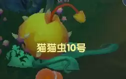 《摩尔庄园手游》黑森林探索攻略