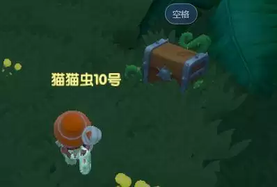 《摩尔庄园手游》黑森林探索攻略