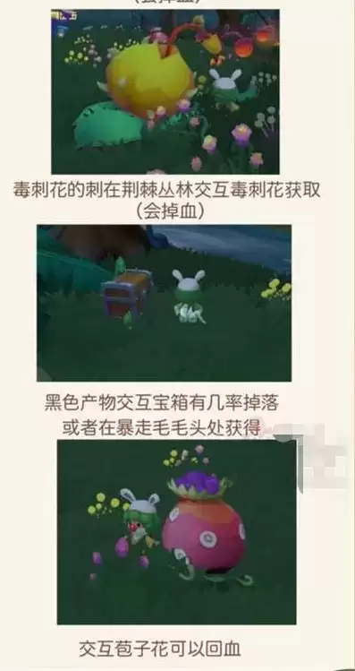《摩尔庄园手游》黑森林资源获取攻略