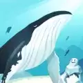 海洋动物世界