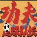 功夫足球队长
