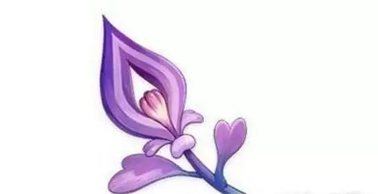 原神鸣草在哪采集?鸣草刷新时间分布图一览图片1